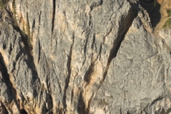 dsc3550-01