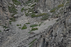 dsc0239-20090626_107
