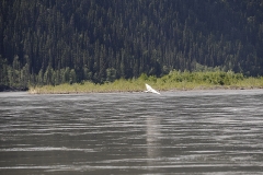 dsc0385-20090626_132