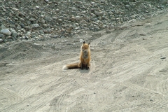 dscf5747