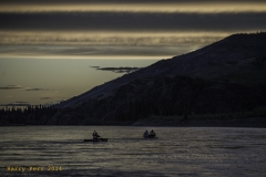 _DSC0694
