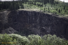 _DSC0916