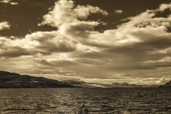 _IRR2858